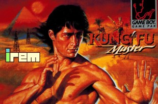Kung’Fu Master – Game Boy