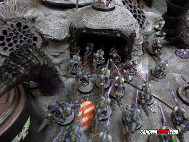 SAMSUNG CAMERA PICTURES