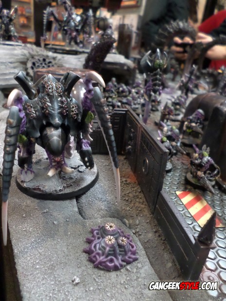 SAMSUNG CAMERA PICTURES